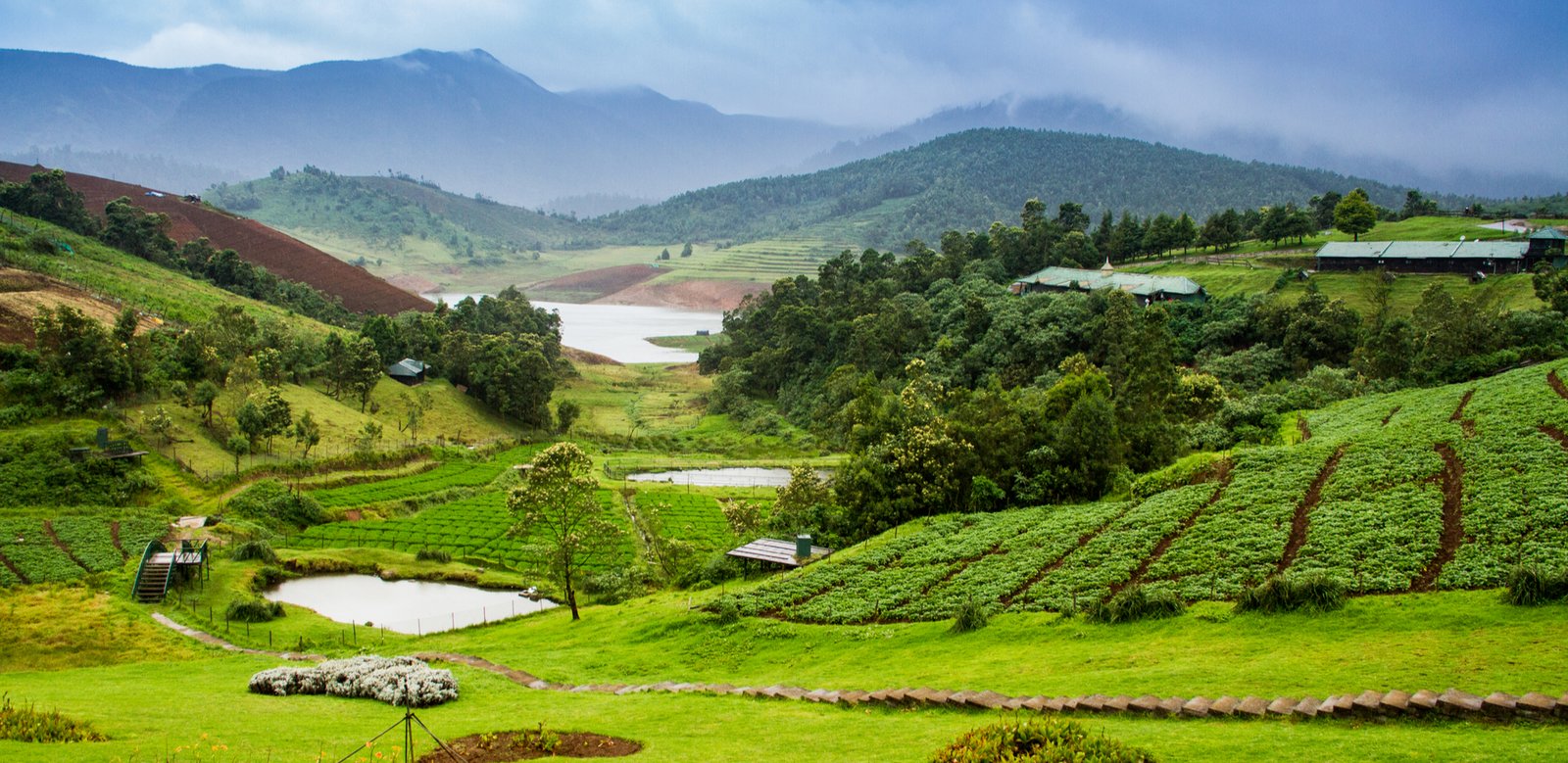 Ooty